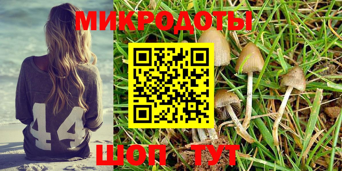 Тайшет  Галлюциногенные грибы мухоморы  Вход с VPN 